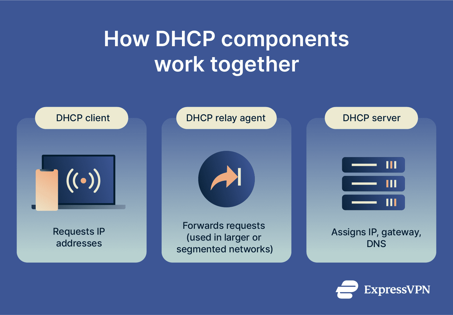 Infographic showing how DHCP components work.