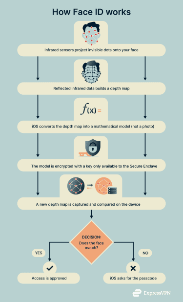 Flow diagram showing how Face ID works in practice