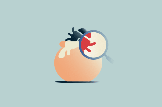What is a honeypot in cybersecurity, and how does it work?