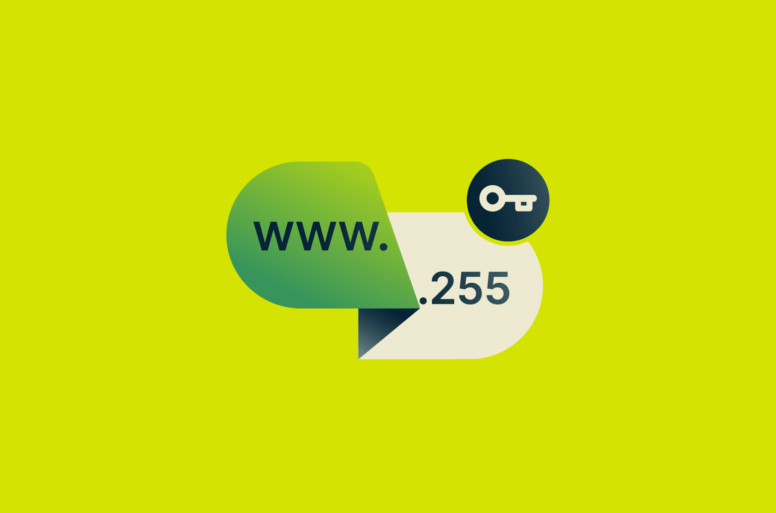 what-is-private-dns